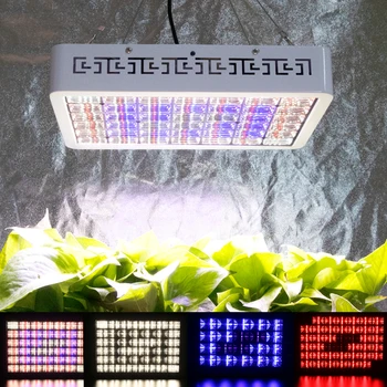 3000W Indoor Grow Light Led Phyto Lamp For Growing Flowing Vegs Adjustable Spectrum Timer Phytolamp For Plants Grow Tent LED