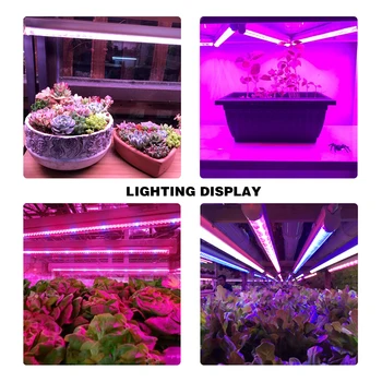 Fitolamp Full Spectrum LED Grow Lamp 5730 lampe za biljke led cvijeće staklenik Hidroponi sustav fito lampe šator