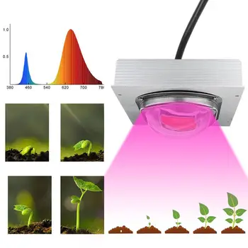 High PAR COB LED Grow Light Full Spectrum 200/300/500W LED Plant Grow Lamp with Glass Objektiv for Greenhouse Hydroponic Plant