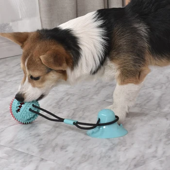 Pas interaktivne igračke zalogaj guma TPR žvakati odojak Pet molarna kreštav loptu igračke štene povući igru četkica za zube Pet Supply