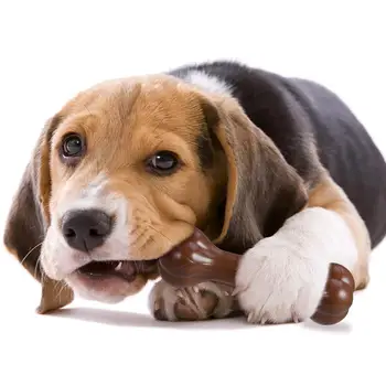 UEETEK 2pcs Pet Dog Bone Toy čvrste PVC igračke za žvakanje za agresivne treninga Жевателей